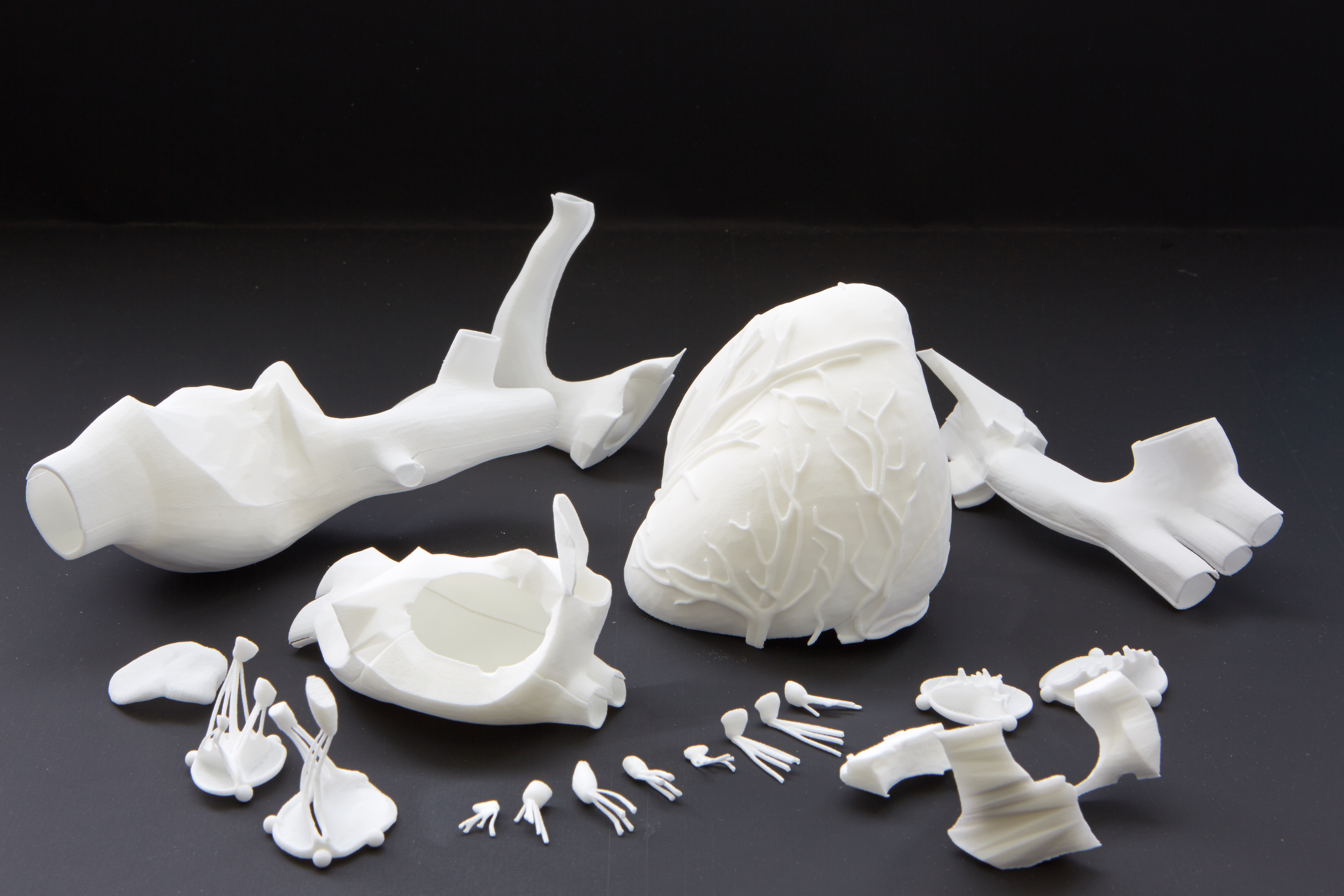 Prototypster has manufactured a silicone 3D model of human heart